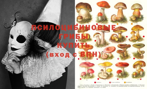шишки Алексеевка