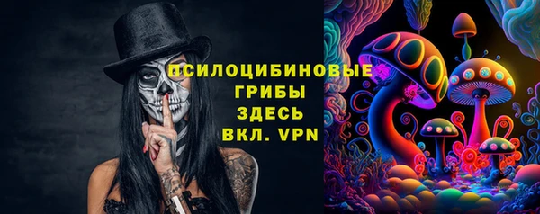 шишки Алексеевка