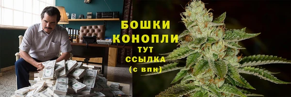 шишки Алексеевка