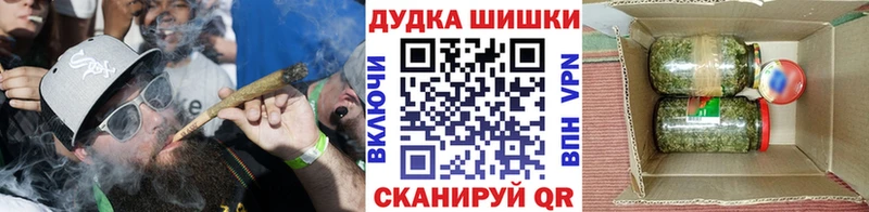 площадка формула  Нефтекамск  Каннабис OG Kush 